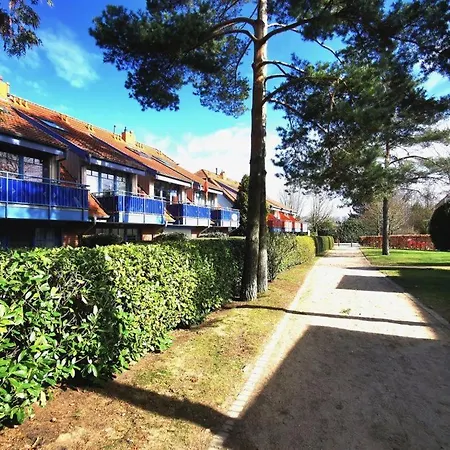 Papillon Whg 12 6 Boltenhagen (Ostseebad)